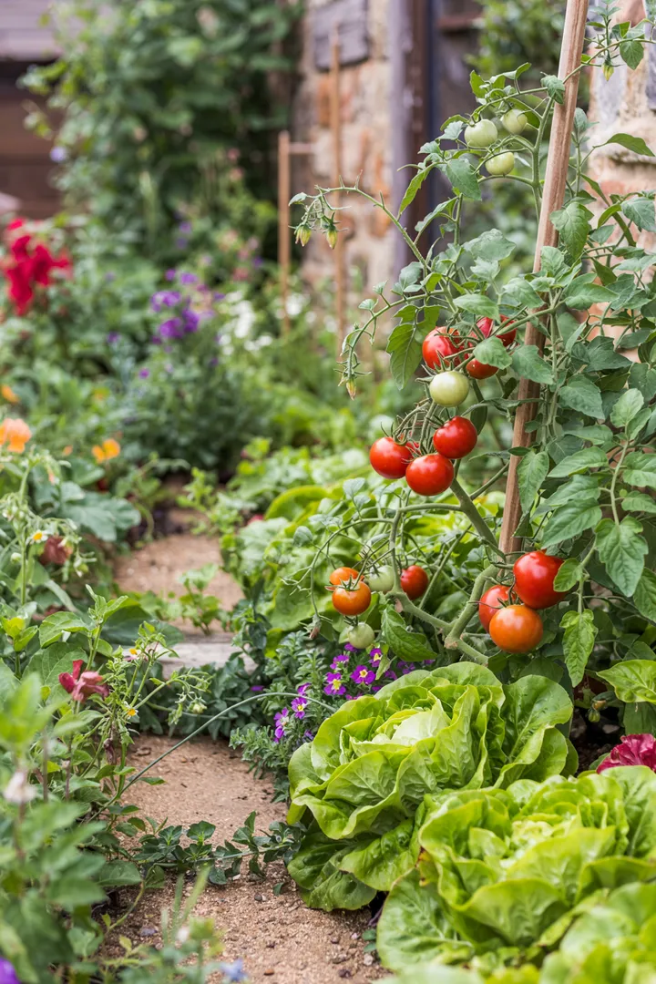 Ein üppiger Außenbereich mit lebendigen Pflanzen und bunten Blumen, der ein Gefühl von Ruhe und Harmonie vermittelt. Der grüne Garten lädt zum Entspannen und Genießen der Natur ein.