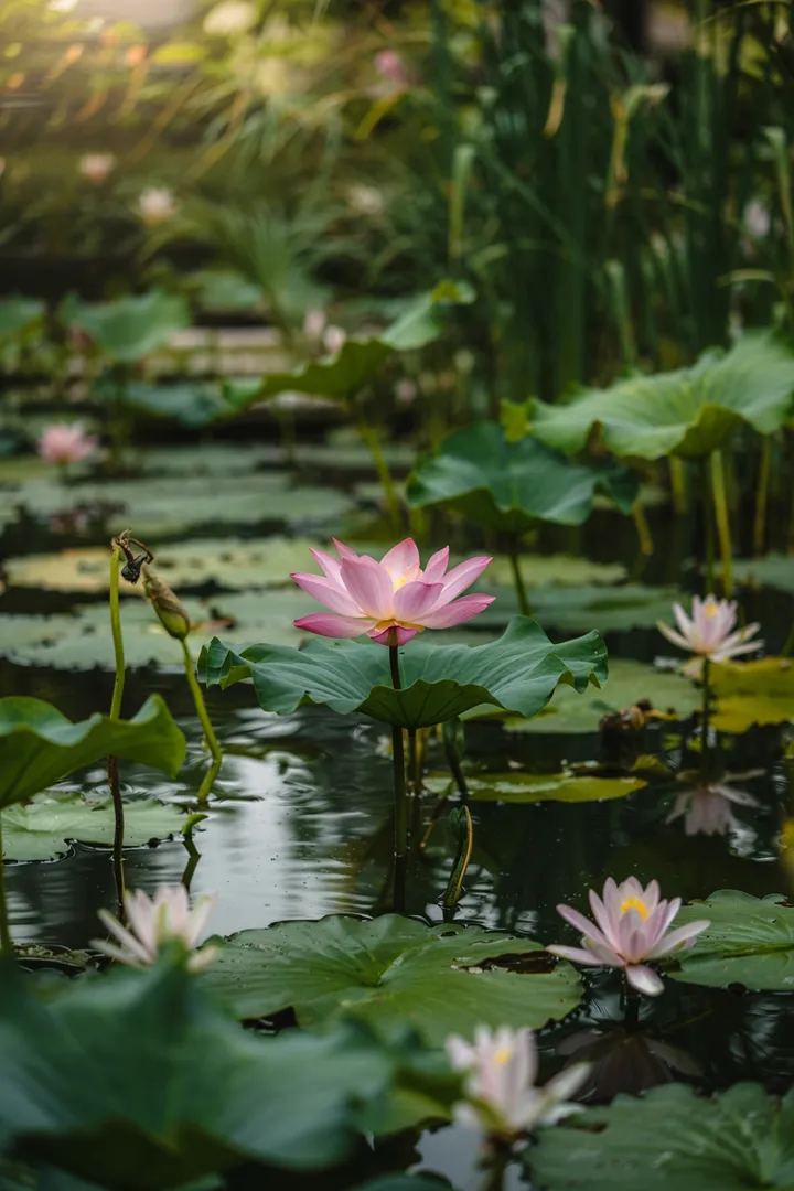 Ein idyllischer Garten mit einem klaren Gewässer, umgeben von üppigem Grün und bunten Pflanzen, ideal für ein harmonisches Ökosystem. Naturteich in voller Blüte.