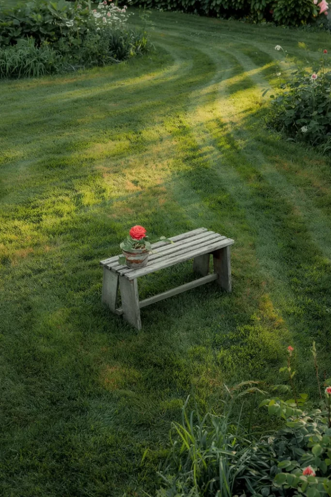 Gesunder, dichter Rasen unter weichem Sonnenlicht mit kaum sichtbarem Unkraut – Bild steht für nachhaltige, chemiefreie Rasenpflege und natürliche Stärke.