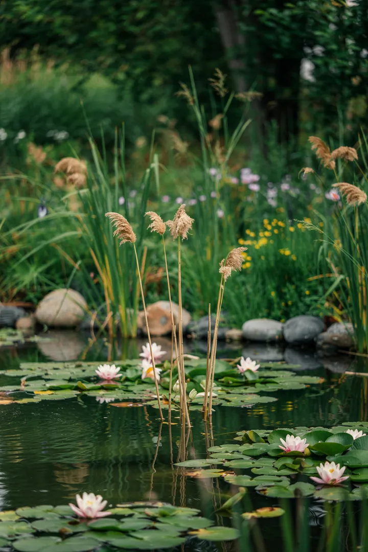 Ein üppiger Wassergarten mit vielfältigen Pflanzen, die harmonisch am Rand eines ruhigen Gewässer wachsen und eine friedliche Atmosphäre schaffen. Teichpflanzen verleihen dem Bild lebendige Farben und natürliche Schönheit.