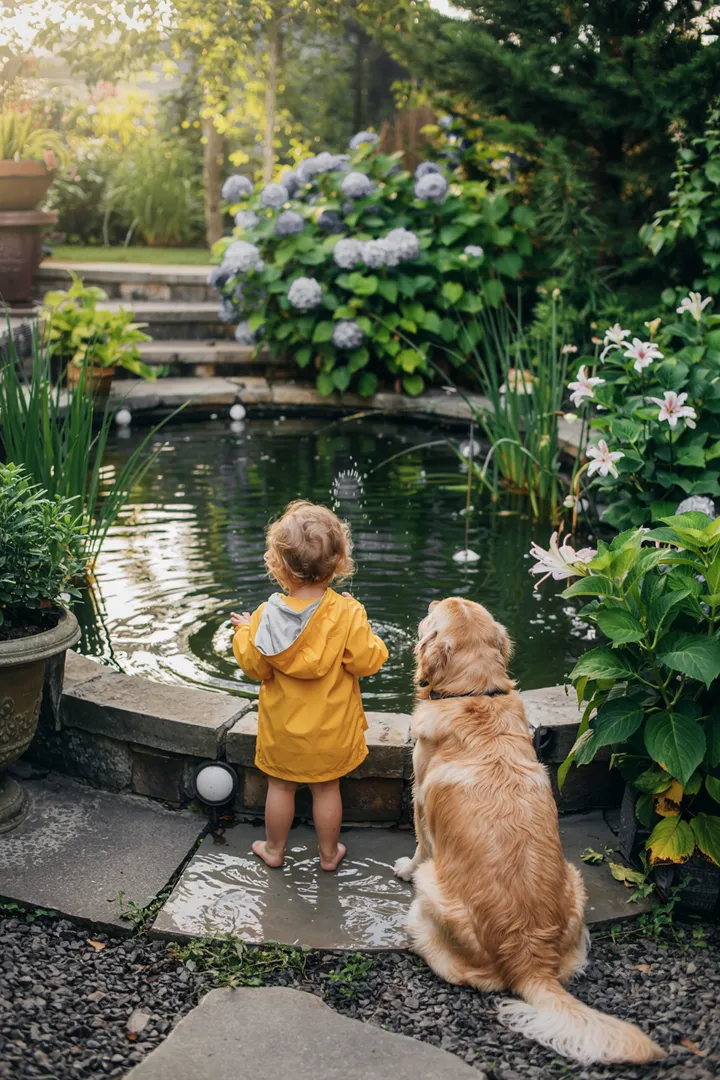 Ein malerischer Ausblick auf einen ruhigen Teich, umgeben von üppigem Grün und einem sanft plätschernden Wasserfall, der harmonisch in die Landschaft integriert ist.