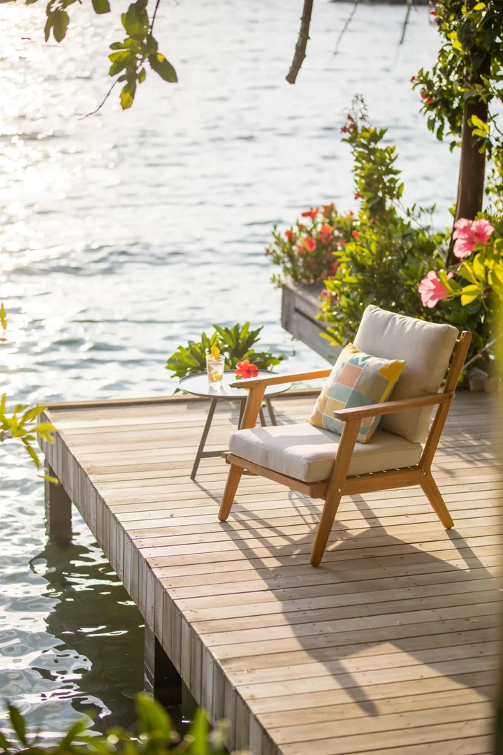 Ein harmonisch gestaltetes Wasserhabitat, in dem verschiedene Fischarten in einer lebendigen, natürlichen Umgebung schwimmen und sich wohlfühlen.