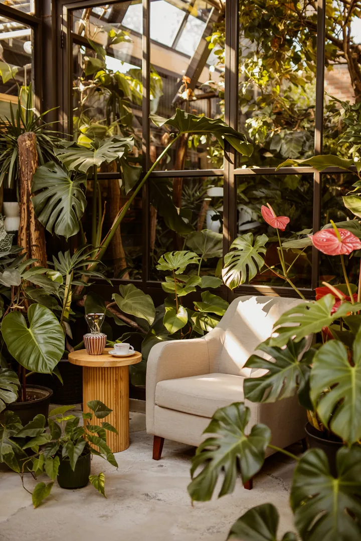 Ein heller Wohnraum mit üppigem Grün und kreativen Pflanzengestaltungen, der eine einladende Atmosphäre im Wintergarten vermittelt.