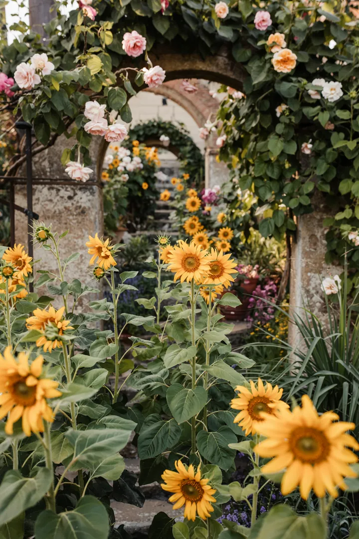 Farbenfrohe Pflanzenarrangements in einem harmonisch angelegten Gartenbereich, inspiriert von natürlichen Gestaltungsideen für ein einladendes Blumenbeet.