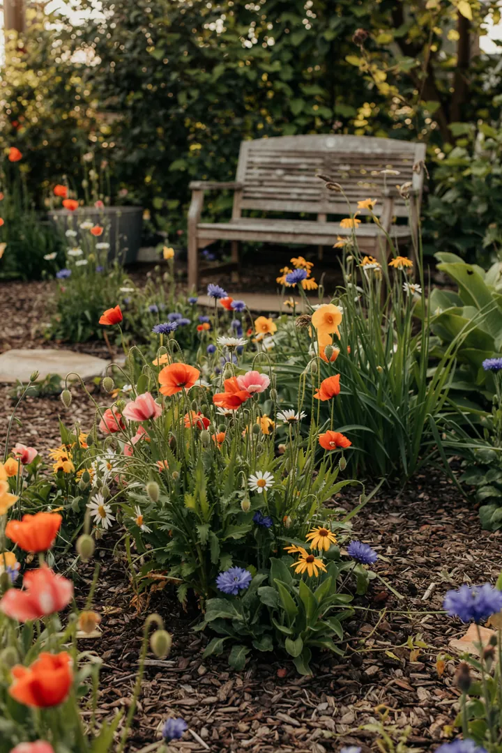 Ein bunter Garten mit einer schützenden Schicht aus organischem Material, das die Erde vor Austrocknung bewahrt.