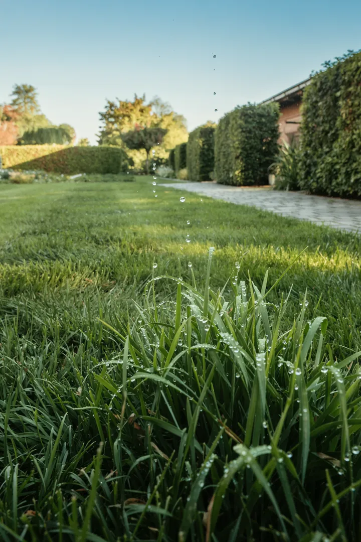 Ein liebevoll gestalteter Außenbereich mit einem flexiblen Anschluss für die Bewässerung von Pflanzen und Blumenbeeten im Freien.