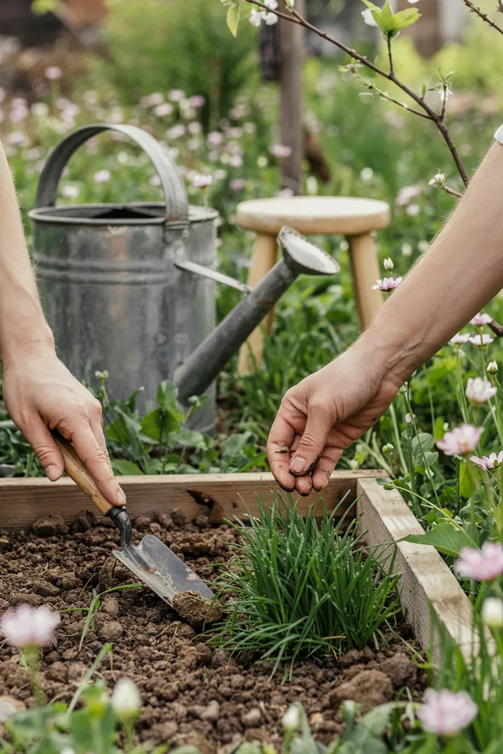 Ein ansprechend gestalteter Außenbereich mit dekorativen Kantensteinen, die den Gartenbereich elegant abgrenzen und eine harmonische Atmosphäre schaffen.