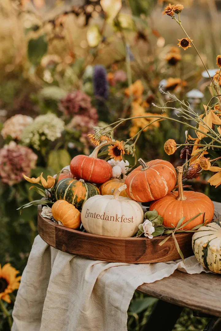 Ein stilvolles Arrangement aus vielfältigen kleinen Kürbissen auf einem rustikalen Tablett, ideal für herbstliche Tischdekoration.