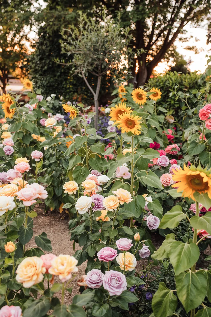 Ein liebevoll gestaltetes Futterhaus aus Holz, ideal für die Vogelfütterung im Garten und ein beliebter Rückzugsort für gefiederte Freunde.