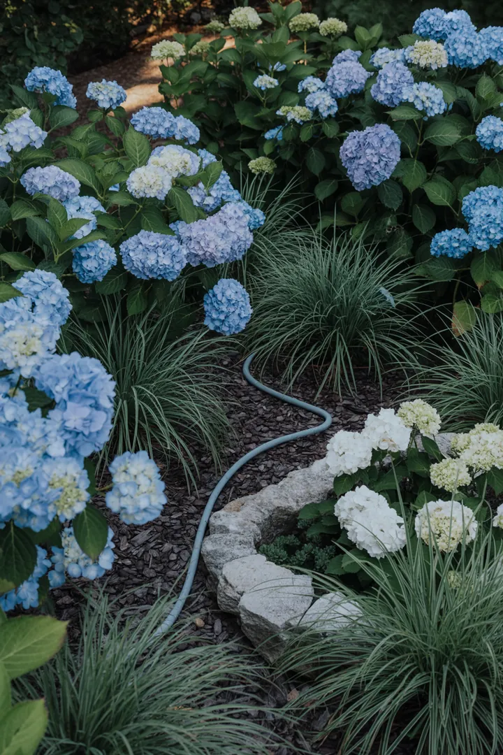 Farbenfrohe Blütenpflanzen umgeben von sanften Halmen, umgeben von einer natürlichen Beetumrandung, ergänzt durch einen Bewässerungsschlauch und organischen Nährstoffen im Boden.