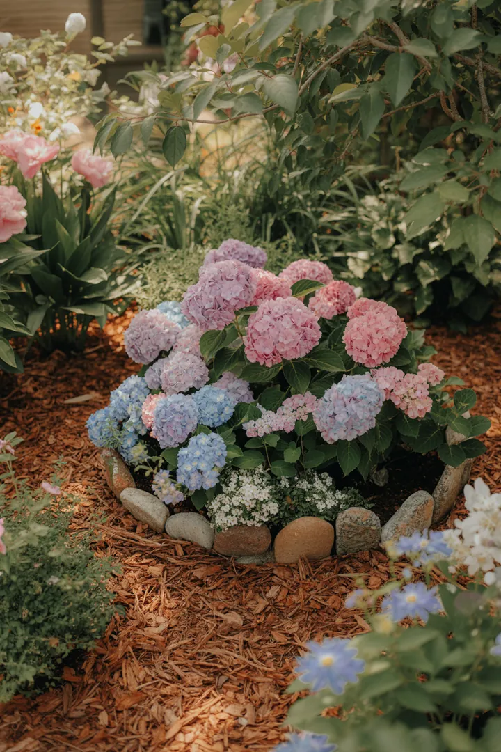 Farbenfrohe Pflanzen mit üppigen Blüten in einem liebevoll gestalteten Gartenbeet, umgeben von natürlichem Mulch und einer ansprechenden Beeteinfassung.